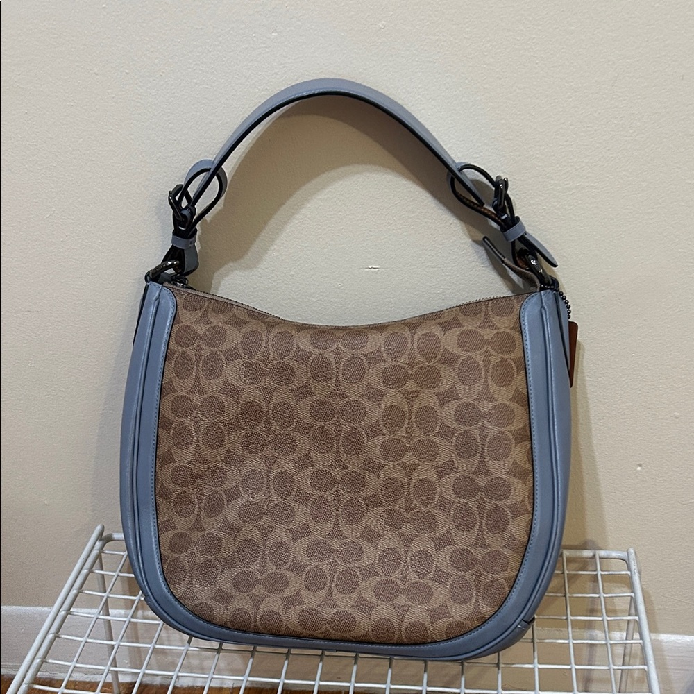 Coach hobo shoulder bag